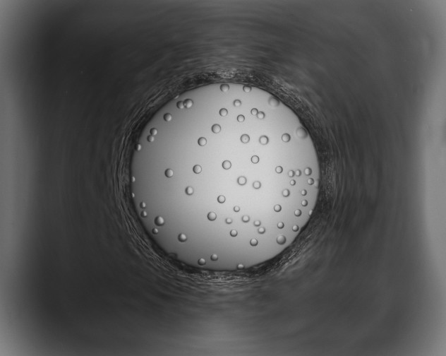 X0000088651105200705250936
