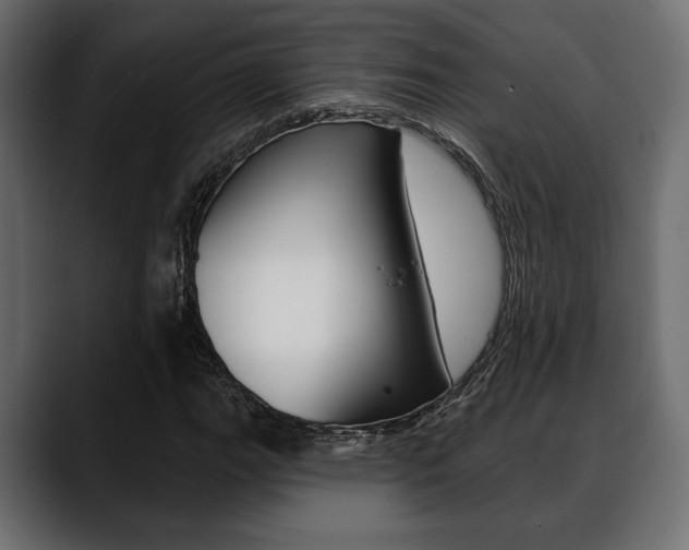 X0000088651111200705250936