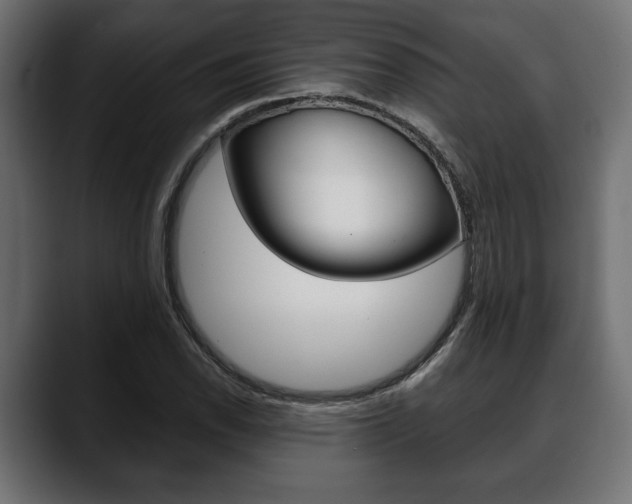 X0000088651118200705250936