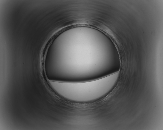 X0000088651124200705250936