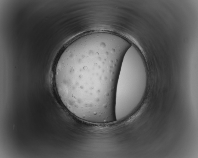 X0000088651125200705250936