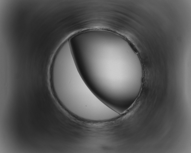 X0000088651134200705250936