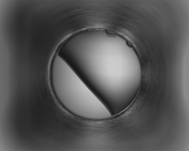 X0000088651135200705250936