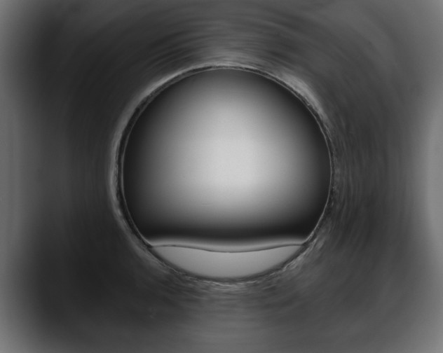 X0000088651136200705250936
