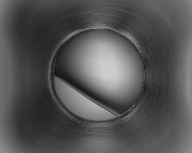 X0000088651142200705250936