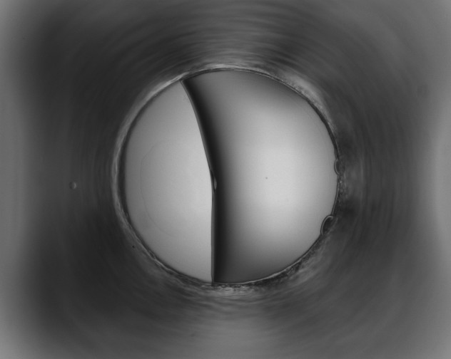 X0000088651146200705250937