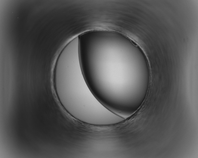 X0000088651152200705250937