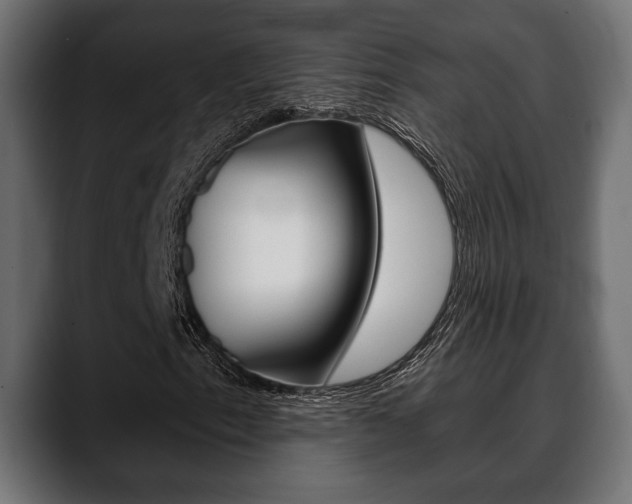 X0000088651153200705250936