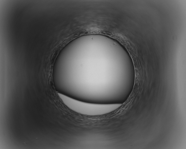 X0000088651157200705250936