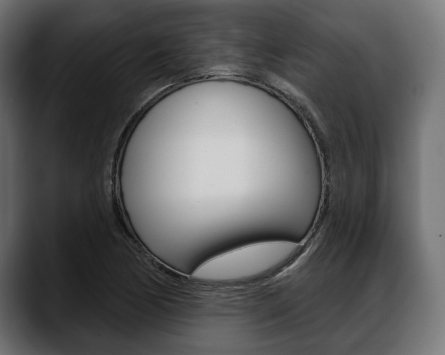 X0000088651170200705250936