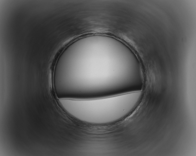 X0000088651171200705250936