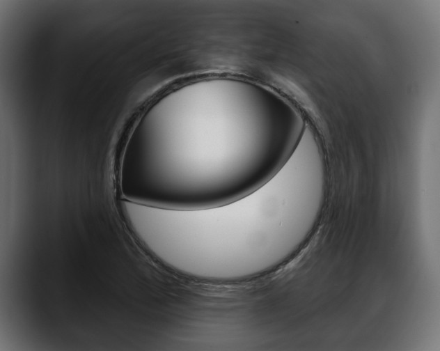 X0000088651172200705250936