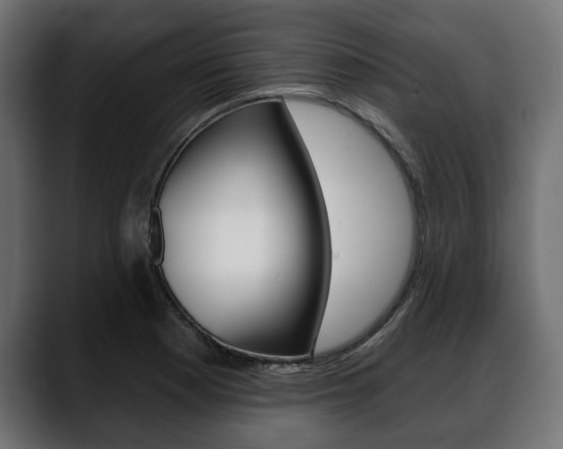 X0000088651177200705250936