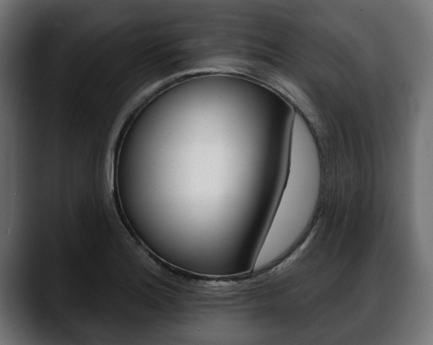 X0000088651180200705250936