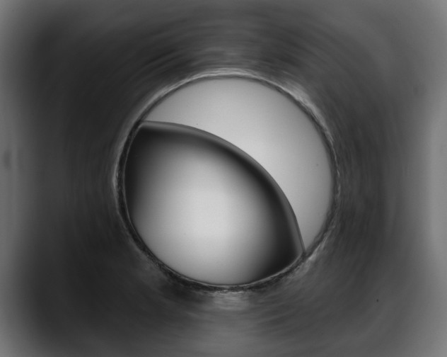 X0000088651181200705250936
