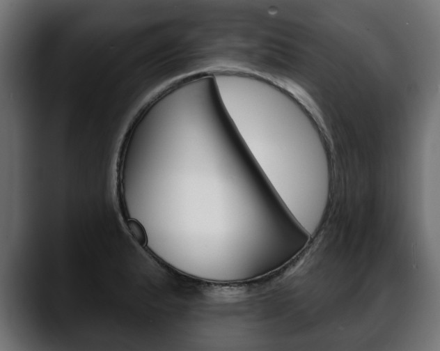 X0000088651183200705250936