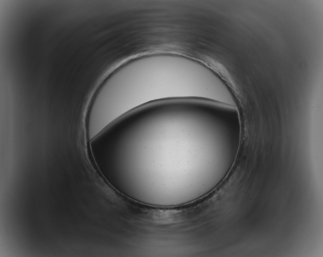 X0000088651184200705250936