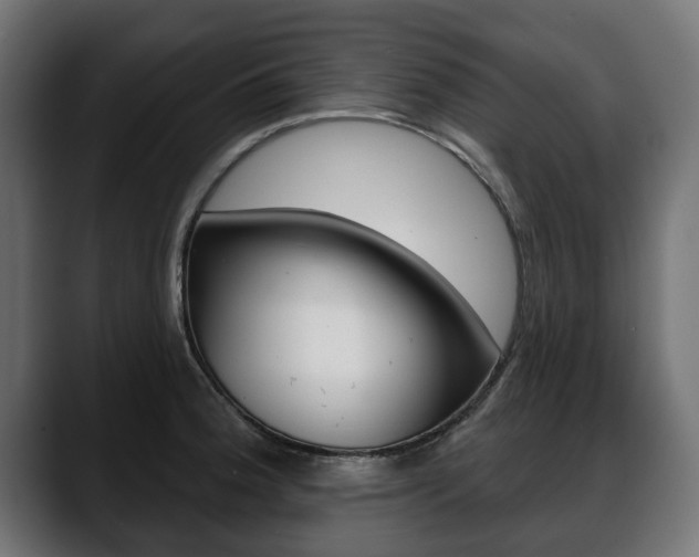 X0000088651188200705250936