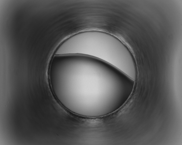 X0000088651189200705250936