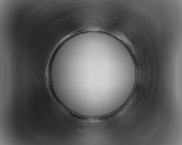 X0000088651190200705250935