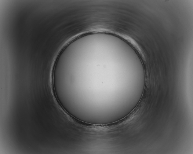 X0000088651191200705250935