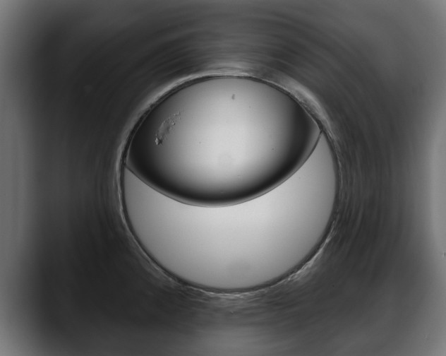 X0000088651192200705250935