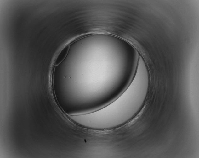 X0000088651196200705250935