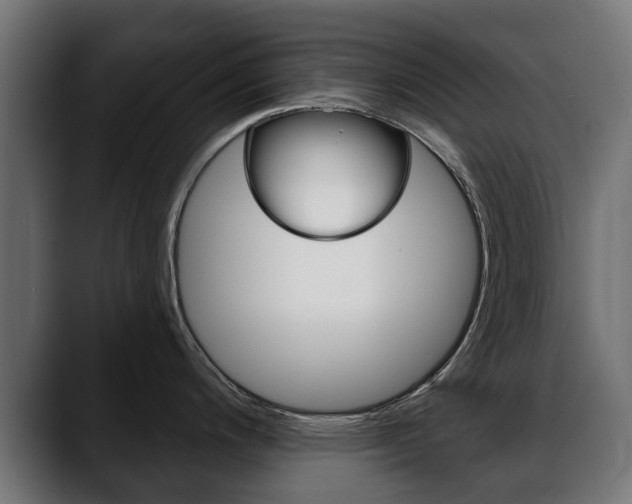 X0000088651200200705250935
