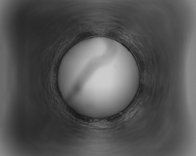 X0000088651201200705250935