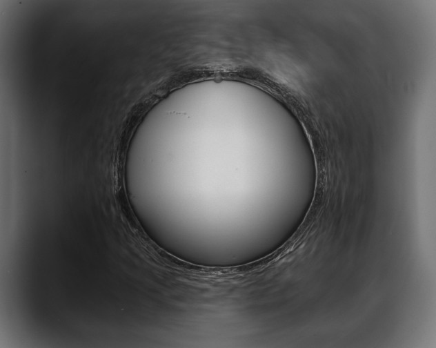 X0000088651205200705250935