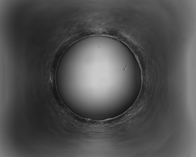X0000088651206200705250935