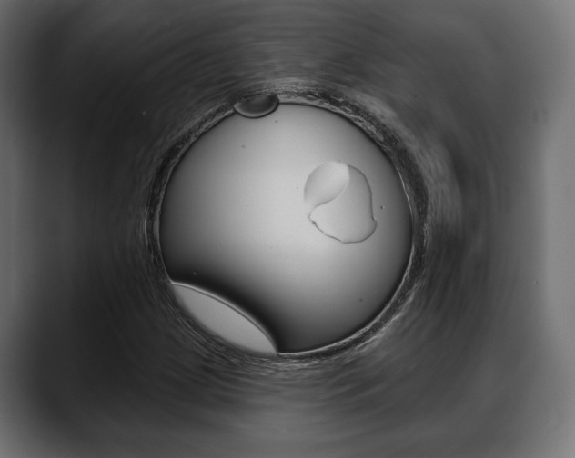 X0000088651209200705250935