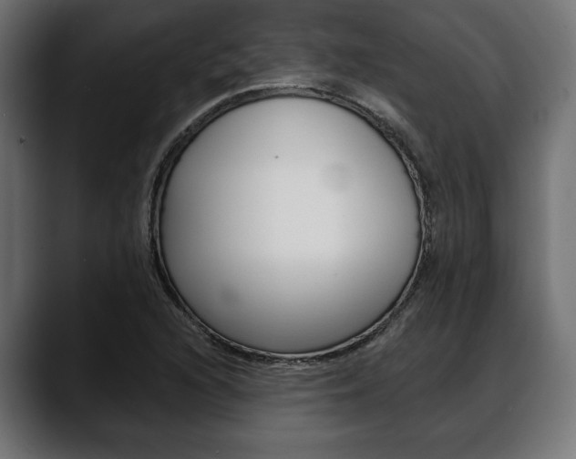 X0000088651216200705250935