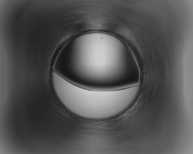 X0000088651218200705250935