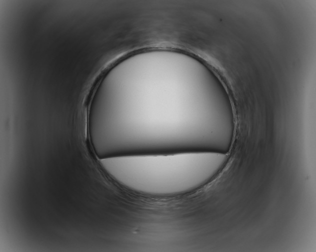 X0000088651223200705250935