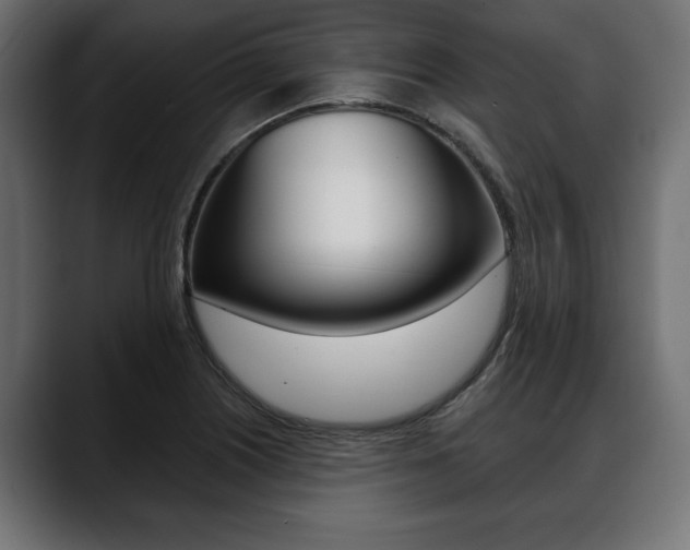 X0000088651226200705250935