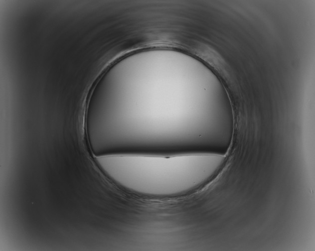 X0000088651228200705250935