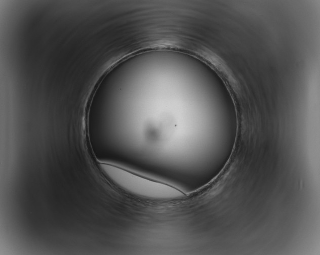 X0000088651234200705250935