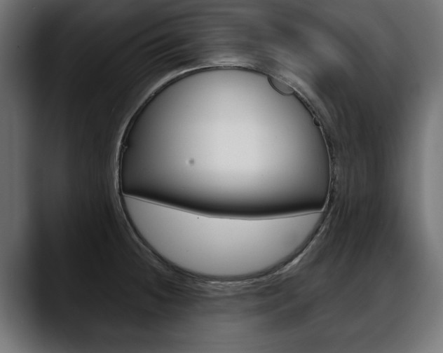 X0000088651236200705250935