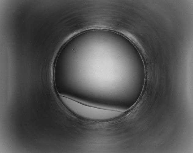 X0000088651238200705250935