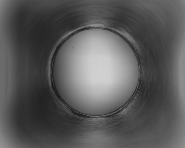 X0000088651240200705250935
