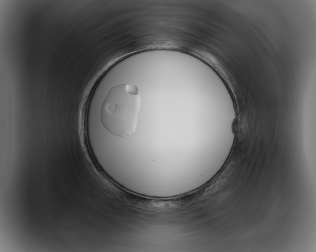X0000088651243200705250935