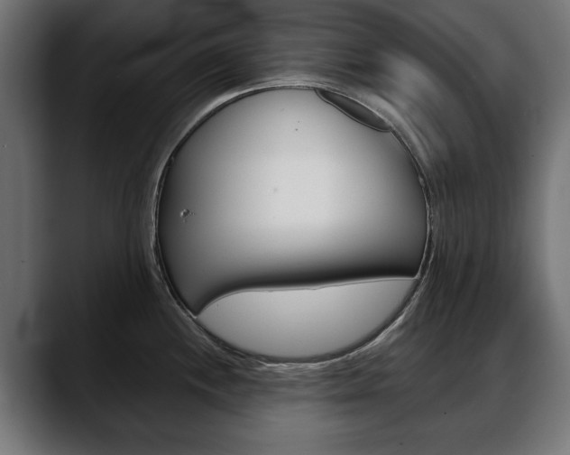 X0000088651244200705250935