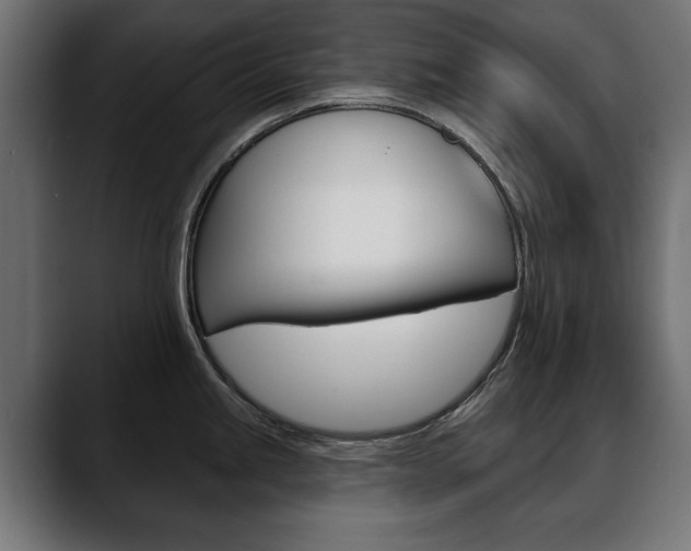 X0000088651245200705250935