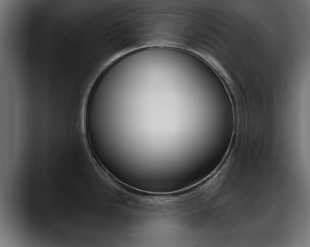 X0000088651246200705250935