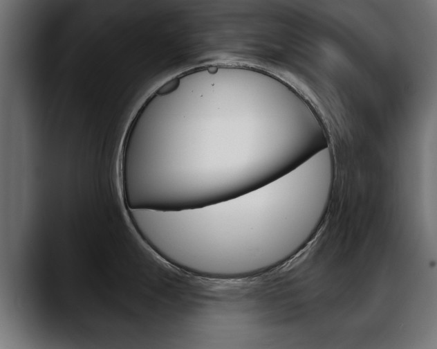 X0000088651247200705250935