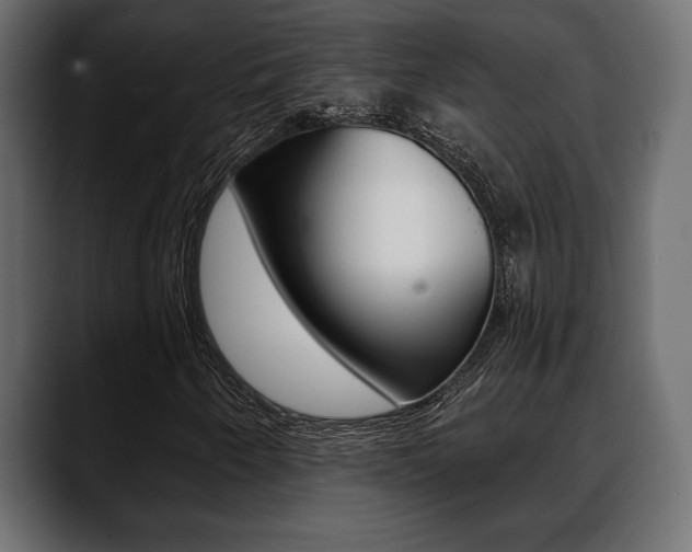 X0000088651250200705250935
