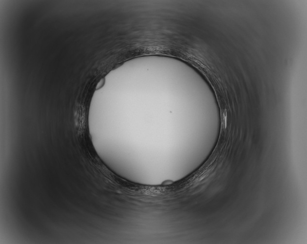 X0000088651251200705250935