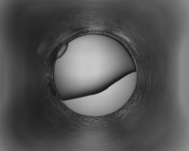 X0000088651255200705250935