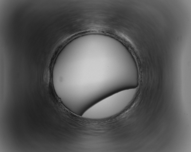 X0000088651267200705250934